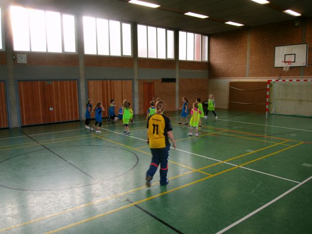 Tag des Handballs 2015
