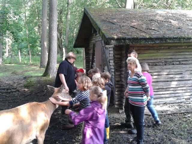 Projekttage 2015