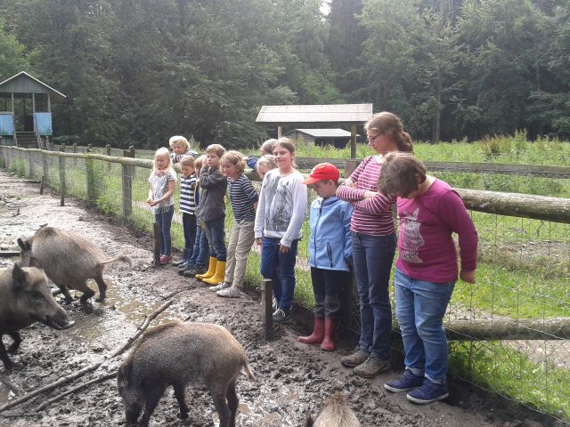 Projekttage 2015