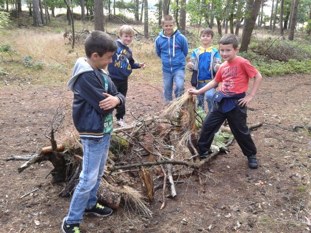 Projekttage 2015