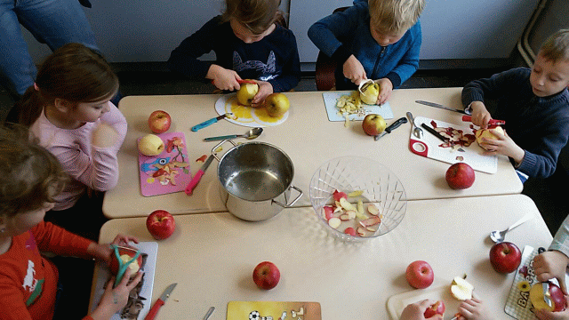 Projekttag Apfel 2017