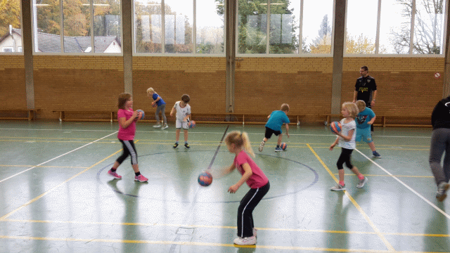 Tag des Handballs 2017