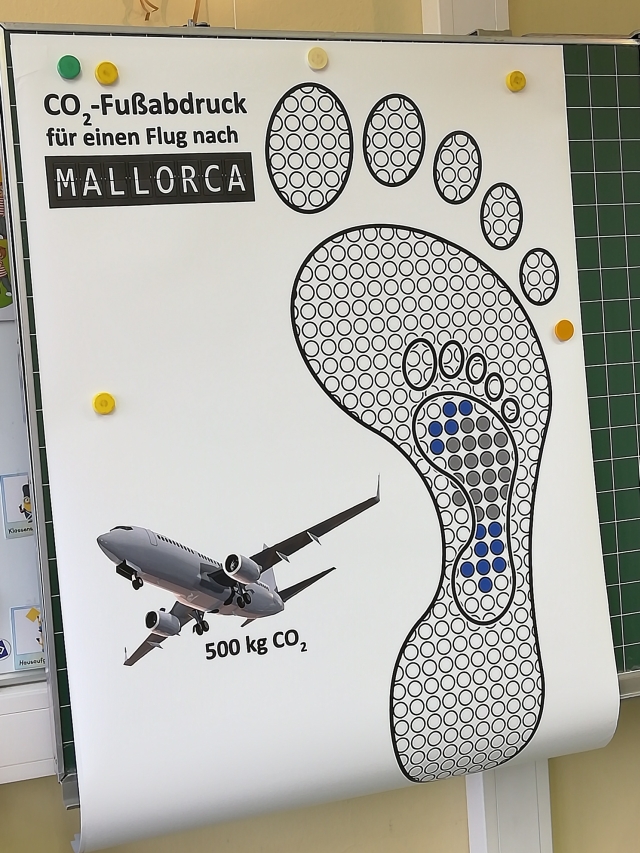 CO2 Fussabdruck 2019