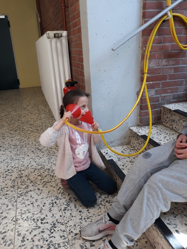 Miniphnomenta 2019
