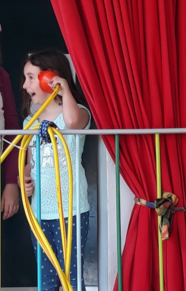 Miniphnomenta 2019