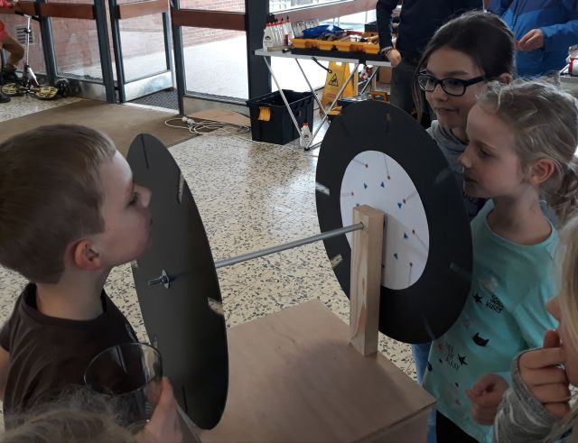 SchiLF 2019