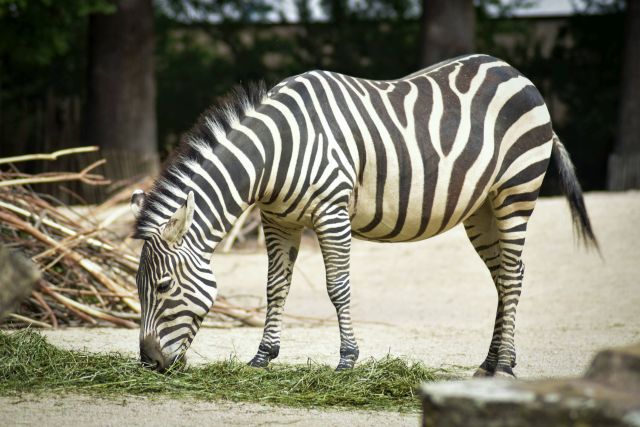 Zoobesuch 2022