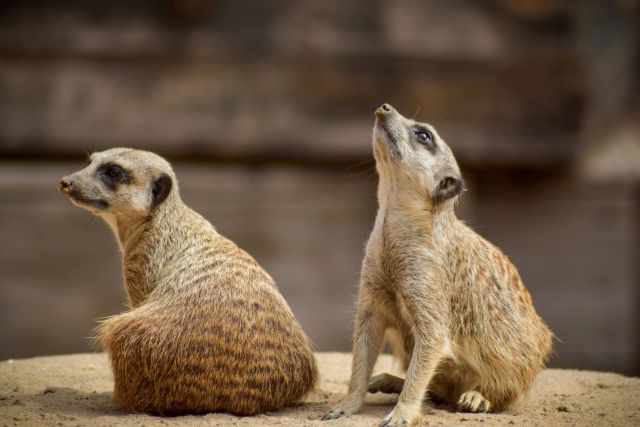 Zoobesuch 2022